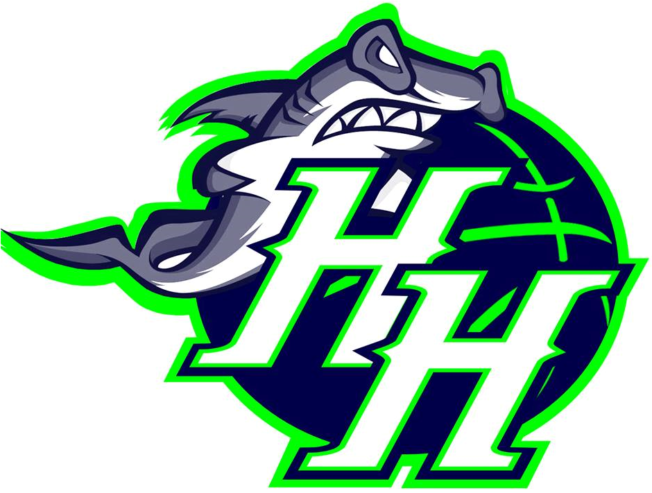 Hawaii Hammerheads 2016-Pres Primary Logo iron on heat transfer